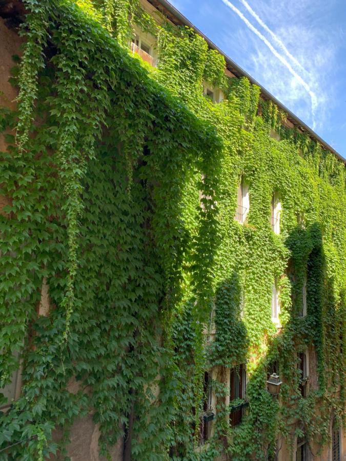 Navona Relais - Center Of Lejlighed